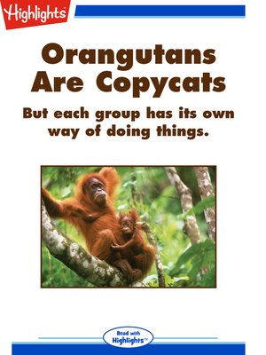 cover image of Orangutans Are Copycats